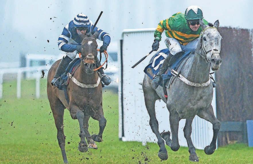 No Drama tilts at Sandown victory