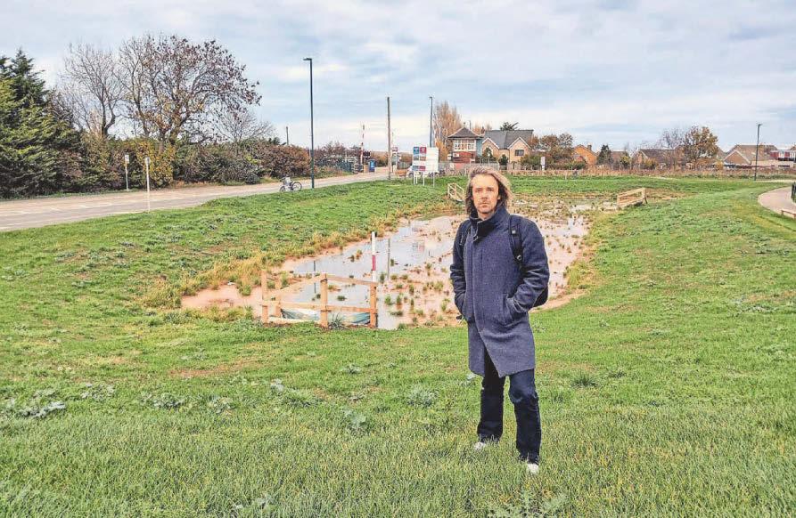 Noise and 'swamp' complaints about pond