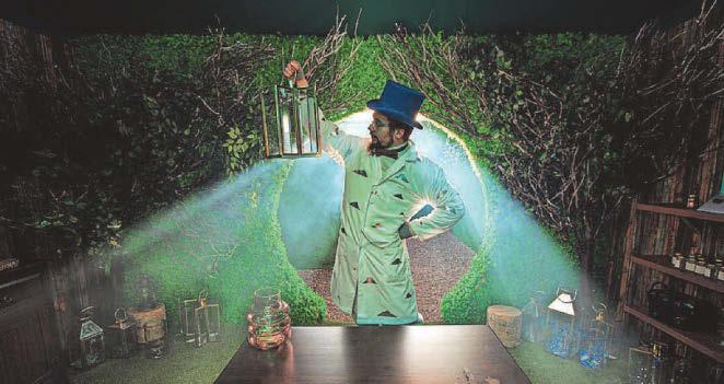 Step into a dream world at festive maze attraction