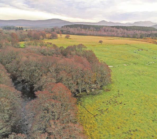 Nature reserve expansion aims to help endangered species