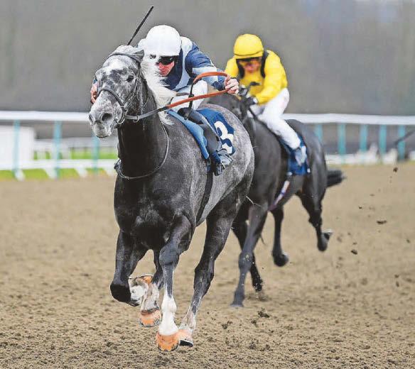 Sea ready to sail to Lingfield glory
