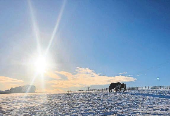 Teesside awakes to snowfall