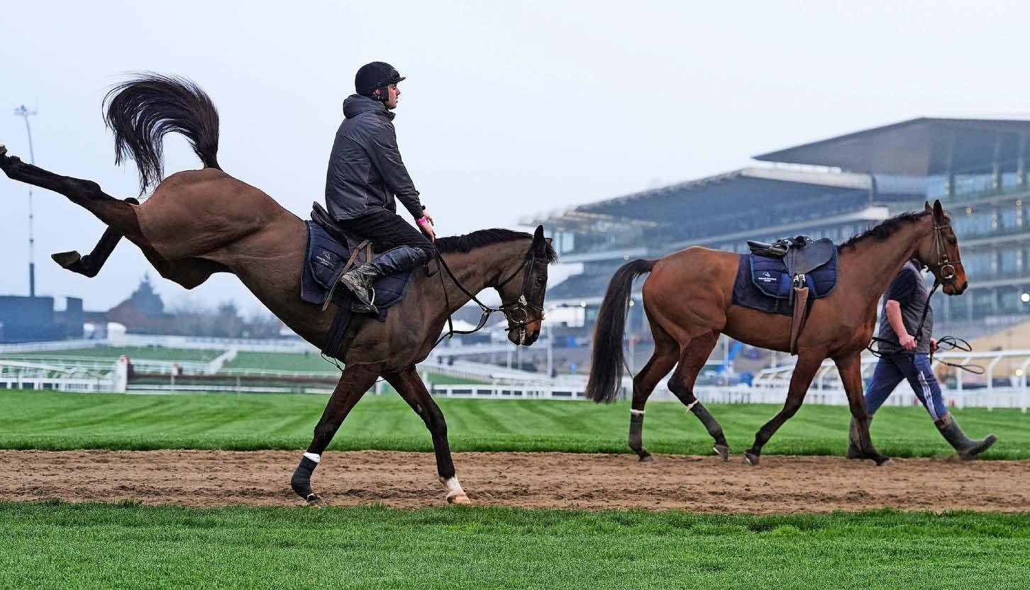 CHELTENHAM 2026