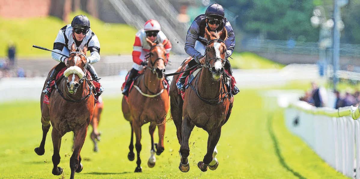Royal Ascot is in sight for ace trainer Menzies
