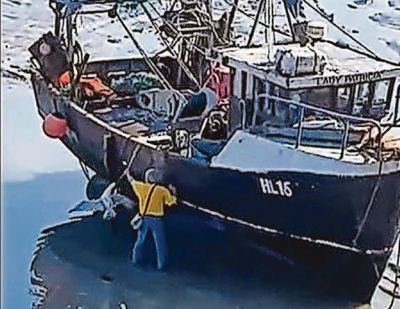 Circling gulls draw rescuer to aid of bird trapped in harbour