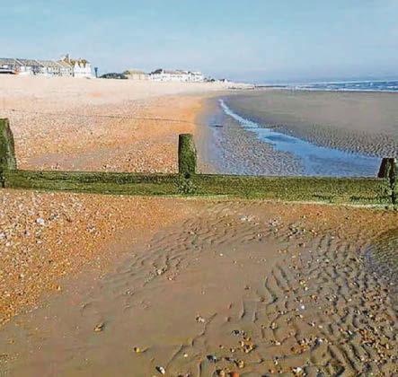 Brown flags shame for dirty bathing beaches
