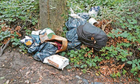 Waste dumping is 'the new county lines' says Scott