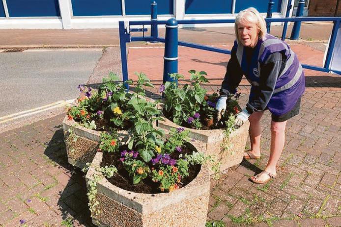 Community comes together to bring Hythe into bloom