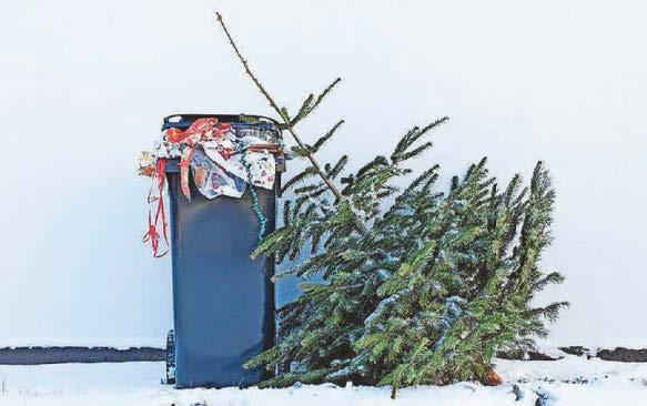 Councils issue warning with three million tonnes of festive waste expected