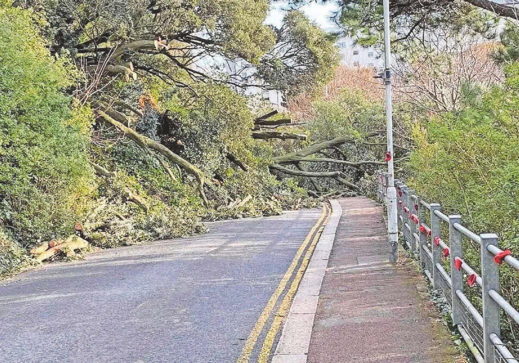 End in sight for Road of Remembrance closure