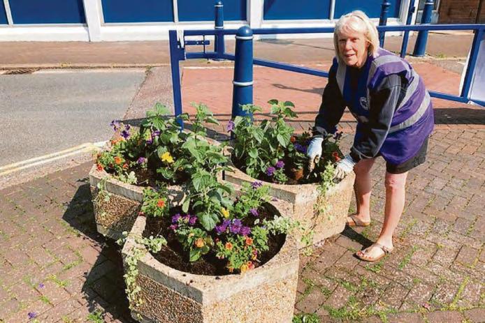 Community comes together to bring Hythe into bloom