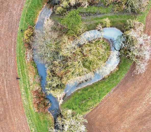 Trust raises cash to care for chalk rivers