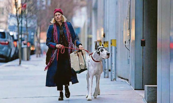 Coming up at the Stag