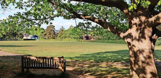 Council launches a bid to protect Hollybush Rec