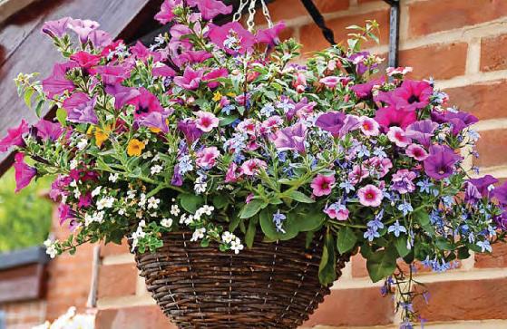 IT'S HIGH TIME FOR SUMMER