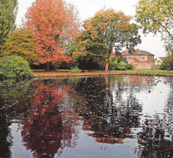 Lakes restoration project given clearance for next phase