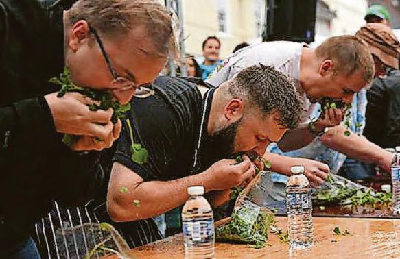 We still bel-eaf! The county's last watercress grower goes on thriving