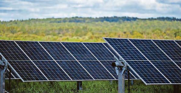 Council recommend 'grey belt plans for 'massive' solar farm