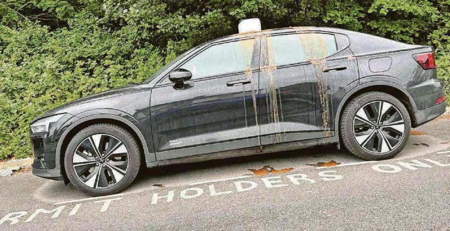 Parked cars covered in poo