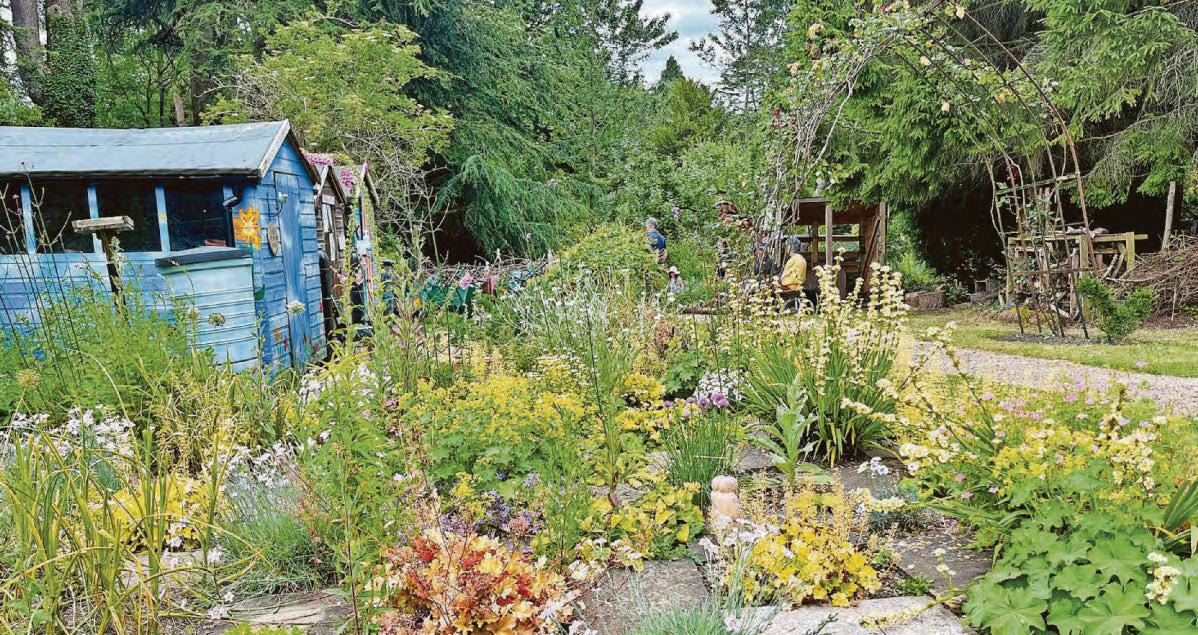 Heartless thieves target 'magical' charity garden