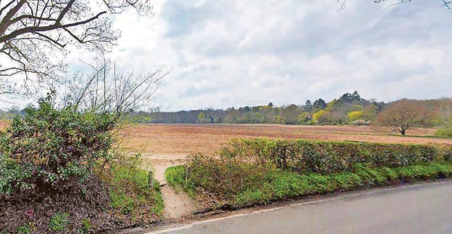 Homes plan: 'Leave our open spaces and green belt alone'