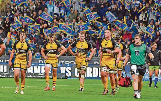 Dragons slain as Stormers run riot in Cape Town and Willemse stars on milestone