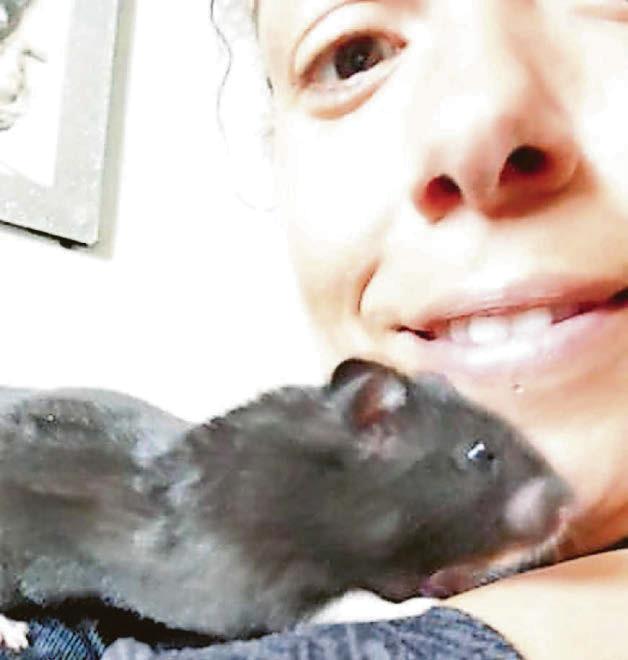 'I WAS CHARGED £180 TO PUT MY HAMSTER DOWN'