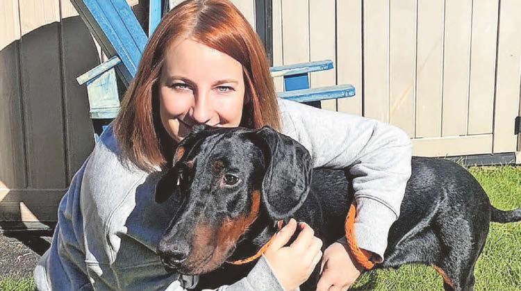 Dog warden Tara wins award for seventh year running