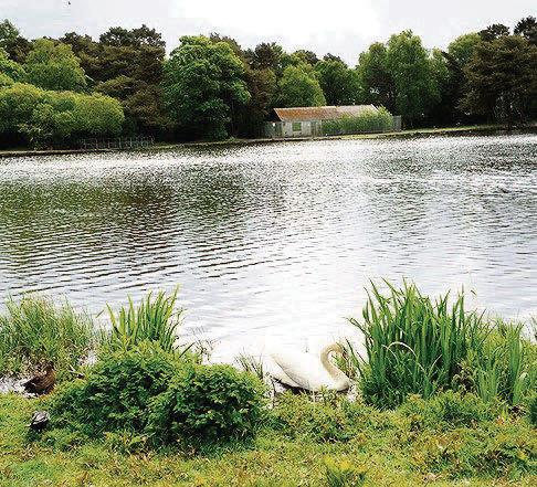 Durrockstock deserves to remain a haven for the beauty of nature