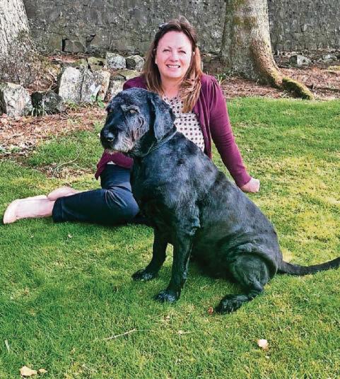 Concern over dog use in experiments