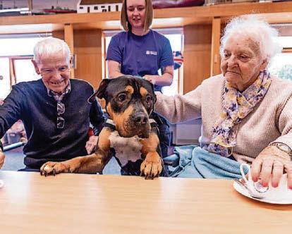 Plenty of puppy love for Erskine veterans