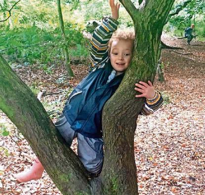 Forest learning earns centre a big win for kids