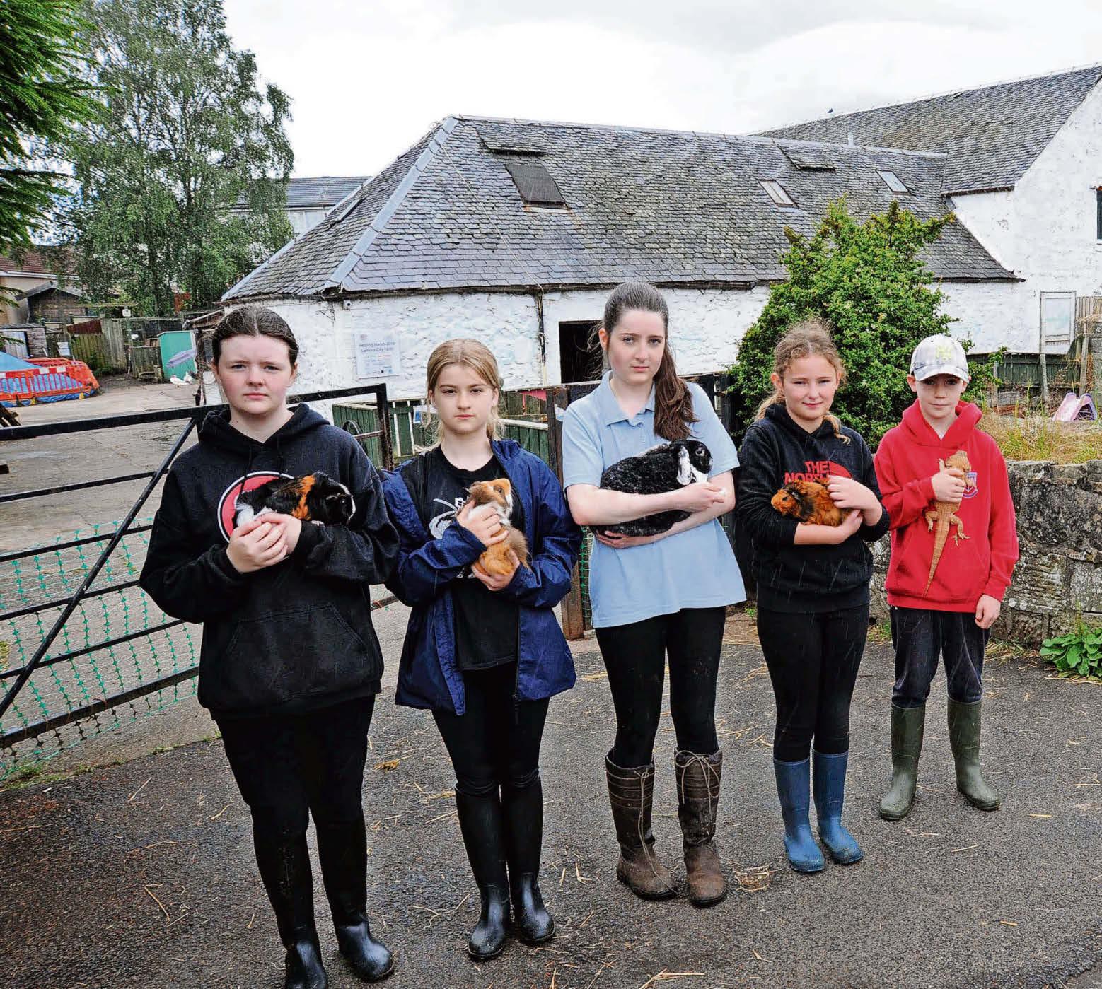 City farm on brink of closure amid winter funding crisis