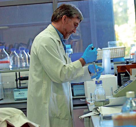 Cancer death rates fall but 'still much to do'