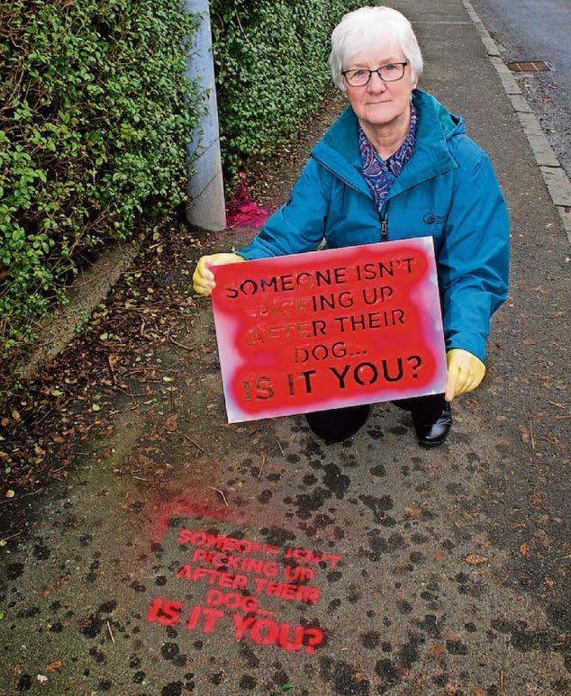 Wardens could go undercover to catch dog poo culprits