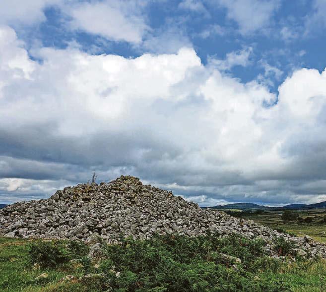 Call for public inquiry into windfarm plans