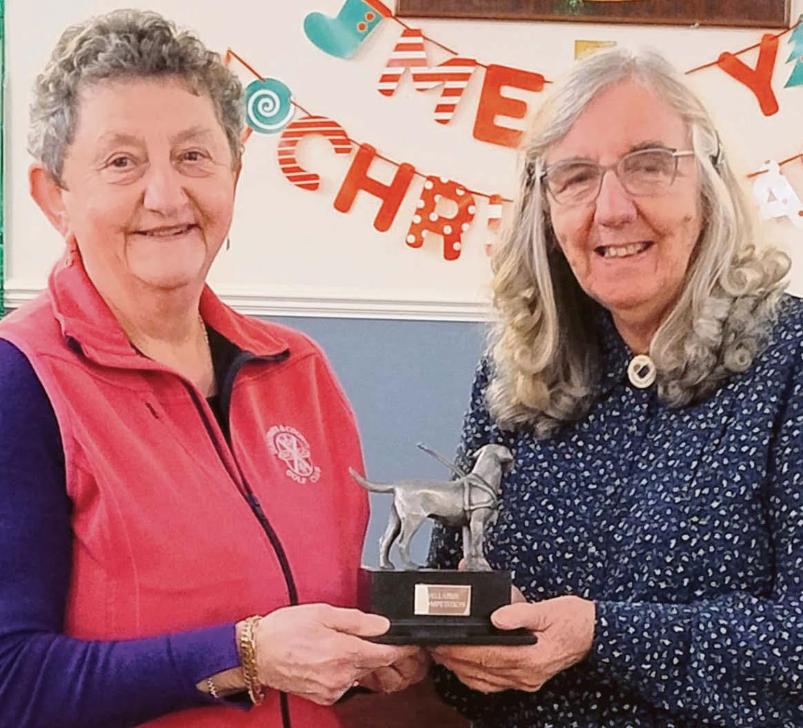 Dumfriesshire SWI Federation