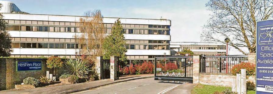 'Dog loo' land could be sold for homes and GP surgery