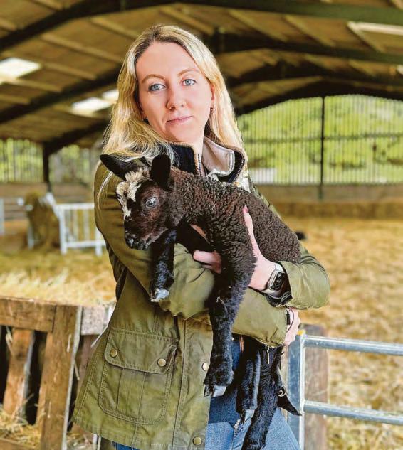 Warning for dog owners as lambs suffer 'horrific injuries’ in attack