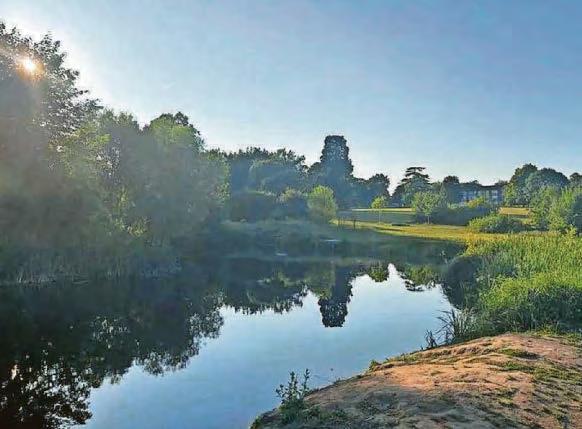 Years worth of rubbish cleared from pond - but litter louts strike again