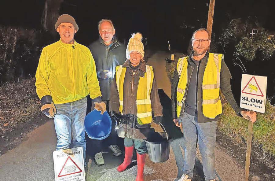 Village patrol help toads from croaking while crossing road