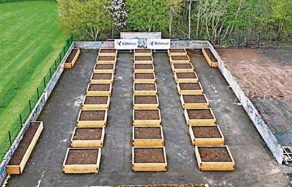 Community allotments bloom in North Muirton