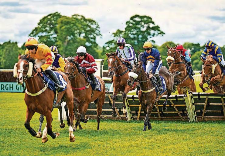 Sunshine draws thousands of revellers to city's racecourse for Gold Cup Day