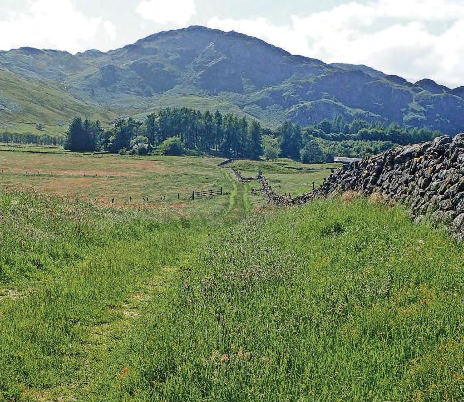 Objectors locked in a 'David and Goliath' struggle to halt wind farm