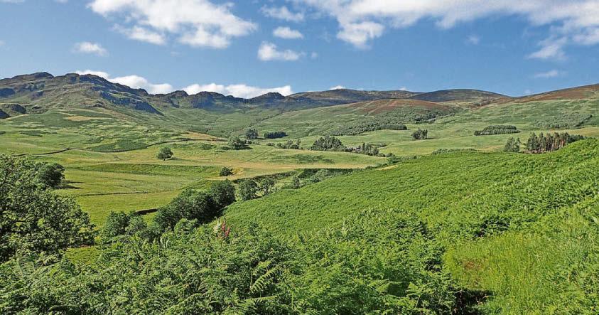 Windfarm campaigners dismiss job creation claims