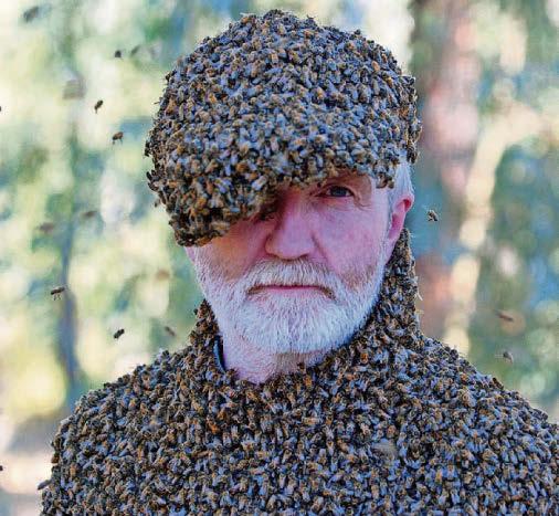 George in town to tell his tales from television