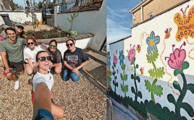 Transformation From drab alleys to wildlife havens