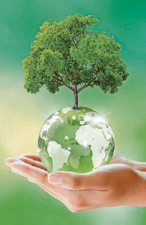 THE FUTURE IS GREEN