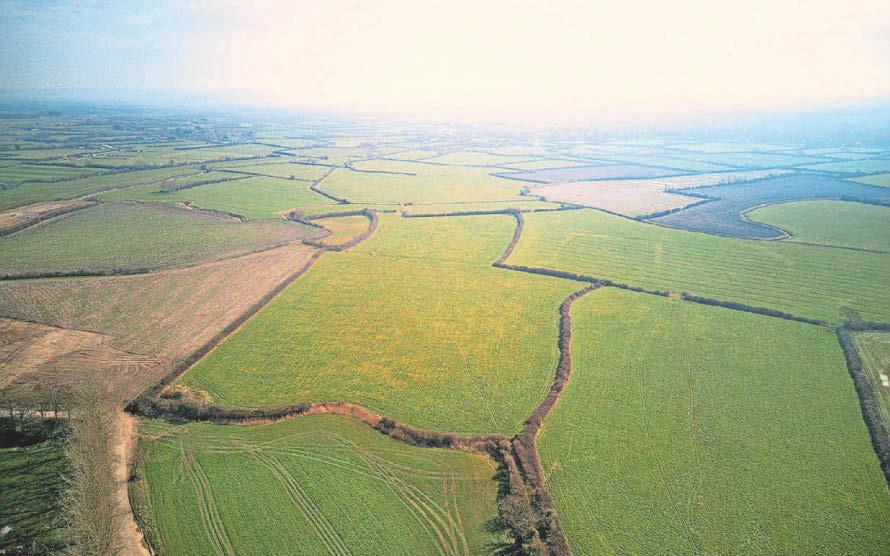 'Can't wait to see nature thrive' Aardman co-founder helps wildlife trust buy farm