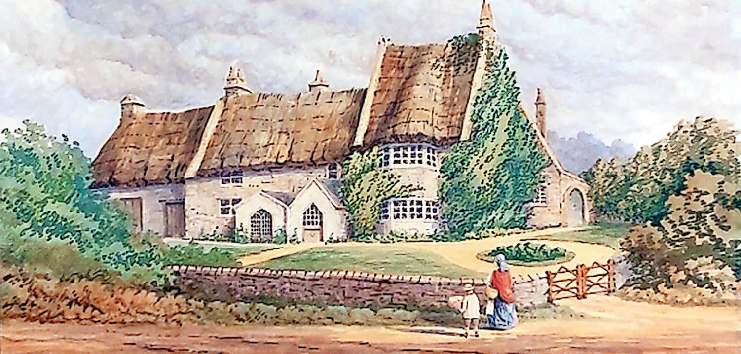 Super story of thatched cottage survival